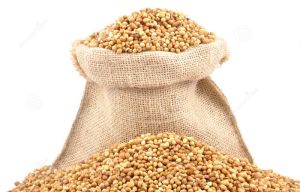 Coriander Seeds