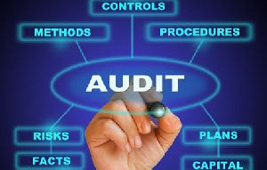 Process Auditing Services