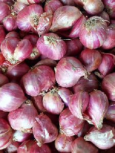 Small Onions