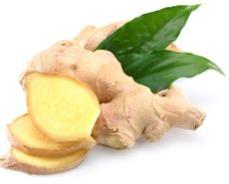 Ginger Oleoresin