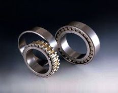 Double - row Cylindrical Roller Bearings