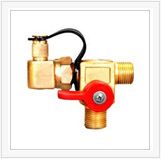 CNG Filling Valve