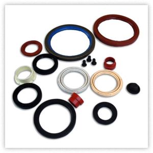 engine oil seals