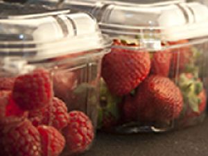 Punnets Packaging trays
