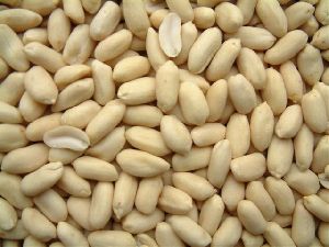 Blanched Whole Bold Peanuts