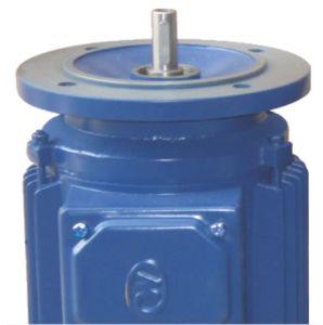 Enlarged Flange Motor