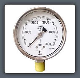 Liquid Filled Pressure Gauges