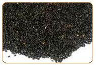 Tukhmaria Basil Seed