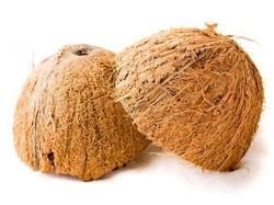 Coconut Shells