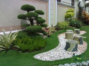 landscaping