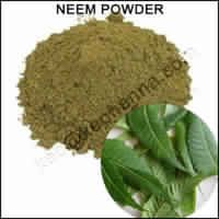 Neem Powder (Azadirachta Indica)