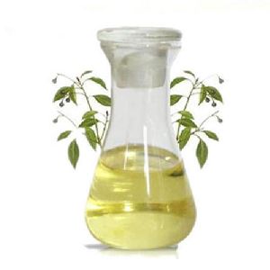 Camphor Oil