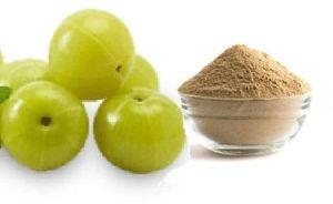 amla juice powder