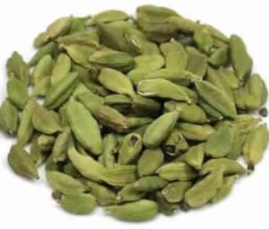 Cardamom Absolute Oil