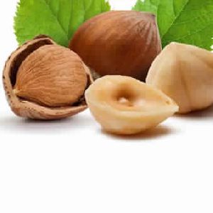 hazel nut oil