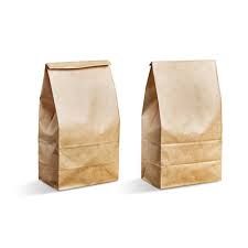 Plain Paper Bags