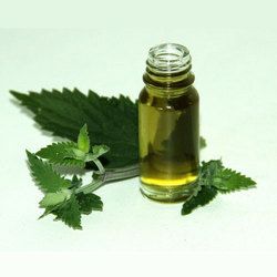 catnip oil