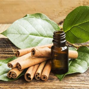 Cinnamon Leaf Oil