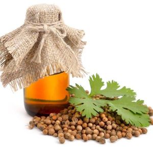 Coriander Oil