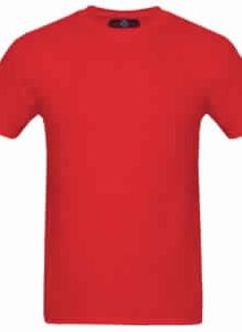 mens corporate t shirt