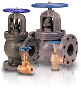 Globe Valve