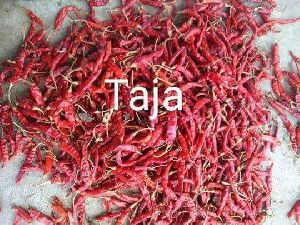 Teja Dry Red Chilli