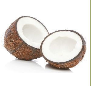 Coconut