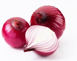 Onion