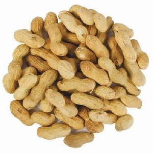 Shell Groundnuts