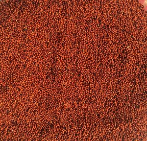 Red Millet Seeds