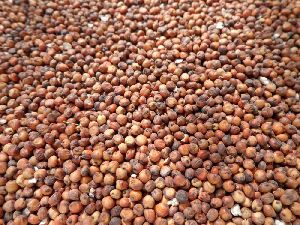 Red Sorghum Seeds