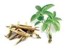 Ashwagandha Powder Extract