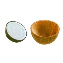 Coconut Shell Cups For ice Cream