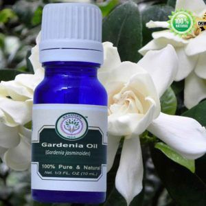 Gardenia Oil