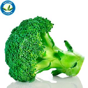 Conventional Broccoli Seed Oil