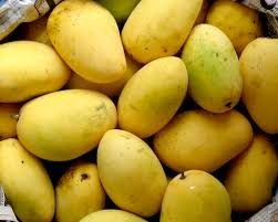 Chaunsa Mango