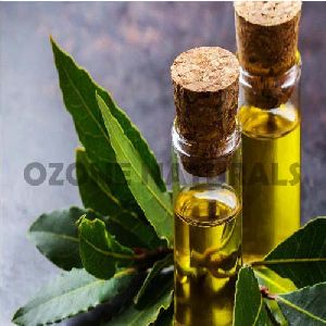 CO2 Extracted Bay Leaf Oil