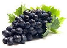 Fresh Black Grapes