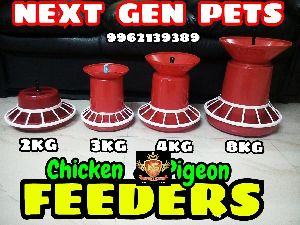 Poultry Chicken Feeders