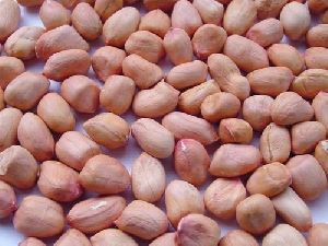Peanuts Without Shell