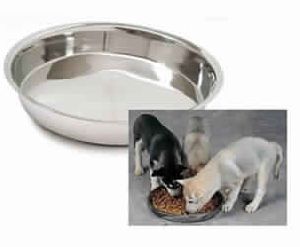 Puppy Dish Stainless Steel