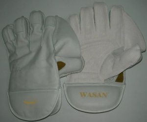 Wicket Keeping Gloves