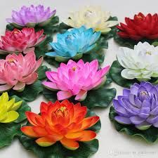 Natural Lotus Flower