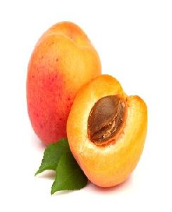 Apricot Oil