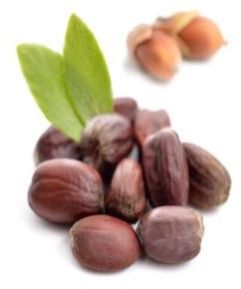 Jojoba Oil