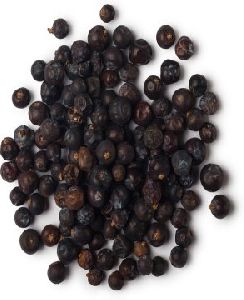 Juniper Berry Oil