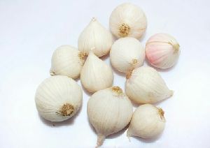 One Kali Garlic