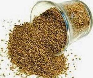 Ajwain Essential Oil