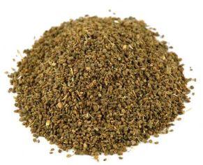 Celery Seed Oleoresins