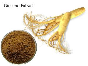 ginseng extract powder